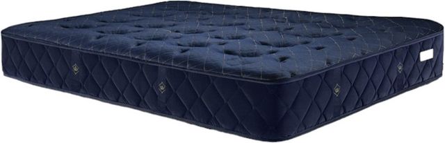 Chattam & Wells™ Princess Palermo 14" Wrapped Coil Medium Tight Top Twin Mattress-0