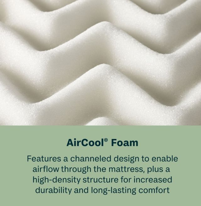 BeautySleep® Soothing Nights 10" Pocketed Coil Medium Tight Top Twin Mattress in a Box-3