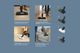 Electrolux Ultimate800™ Mahogany Bronze Complete Home Stick Vacuum -3