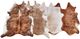 Feizy Bartlett Exotic Light Large Rug-3