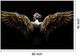 Classy Living Shadow Seraph Wall Art-1