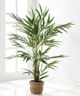 Giftcraft Brown/Green Decorative Tree with Basket-0