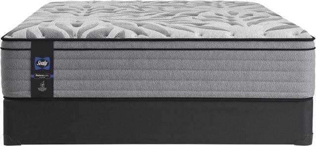 Sealy Queen RMHC Canada 2 Mattress, Boxspring & Bedframe.-0