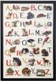 Stylecraft Schoolhouse Alphabet Multi-Colored Wall Art-0