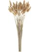 A & B Home Natural Dried Bunny Tail Bundle-0
