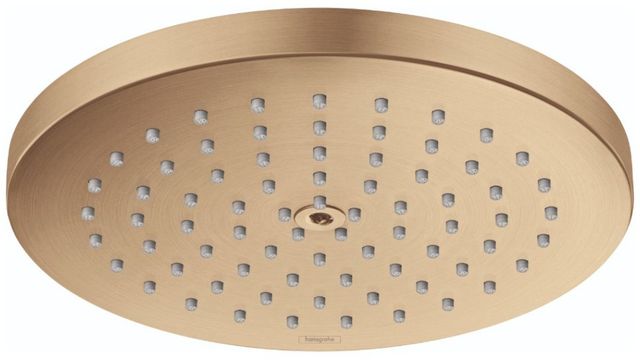Hansgrohe Raindance S Brushed Bronze PowderRain 2.5 GPM Showerhead-0
