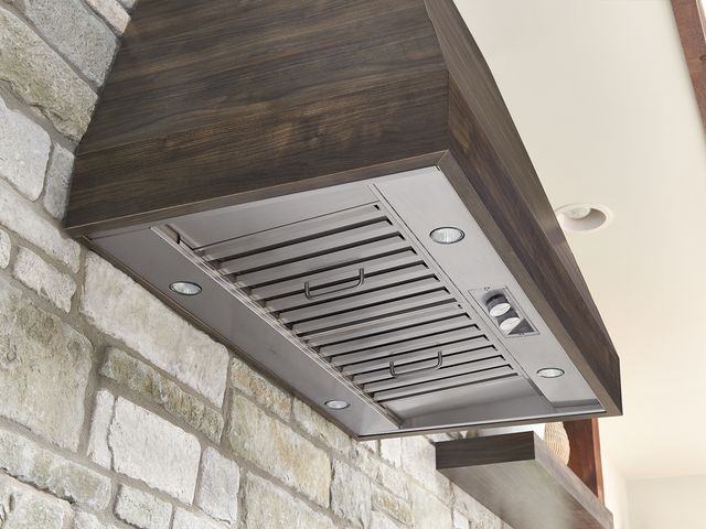 Zephyr Pro Collection Spruce 48" Stainless Steel Outdoor Insert Range Hood-1