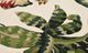 KAS Rugs Cove Ivory Tropical Island 5'x8' Area Rug-4