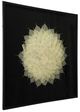 A & B Home Camilla Black/White Shadow Box Wall Decor-0