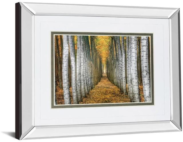 Classy Art Tree Farm by Cahill Mirror Framed Wall Art-1
