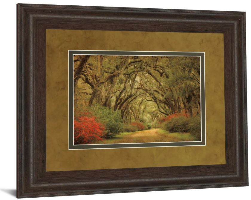 Classy Art Road Lined With Oaks and Flowers by William Guion and Mossy Oak Native Living Framed Print Wall Art