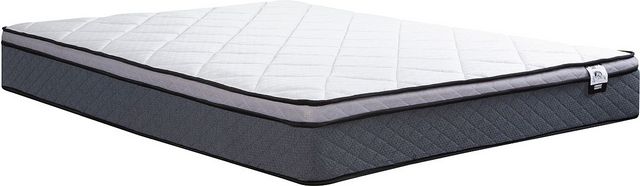 Springwall® Comfort Pockets® Bonavista 9" Wrapped Coil Medium Firm Euro Top Queen Mattress