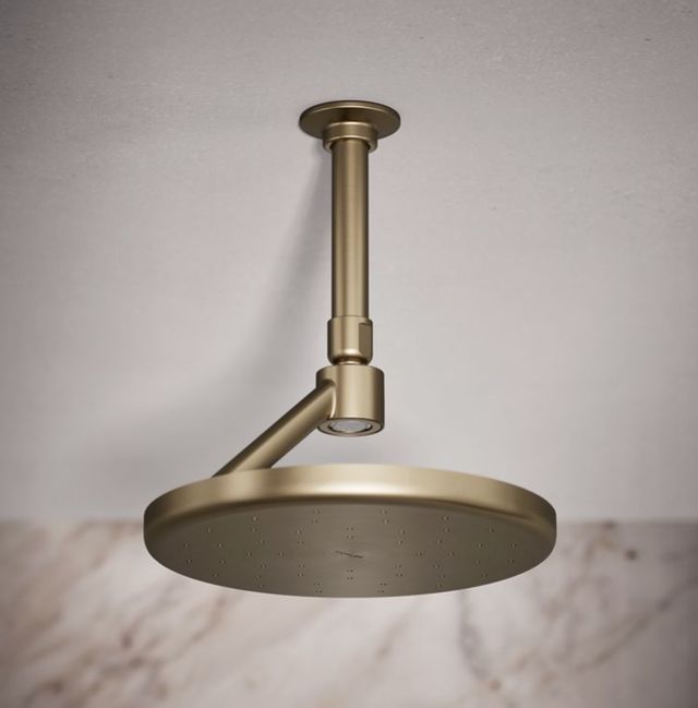 KOHLER® Statement® Vibrant Brushed Bronze 2.5 GPM Open Rain Iconic Single-Function Rainhead-1