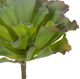 A & B Home Green Giant Succulent Leaf Pick-1