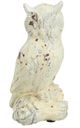 A & B Home Otus Perched Owl Concrete Accent -0