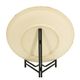 A & B Home Remy Nickel Charger-4