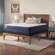 Sealy® Safa Park 12.5" Wrapped Coil Firm Tight Top Full Mattress-3