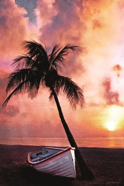 Classy Art Palm Tree Sunset by Bluebird Barn Wall Art-0