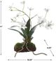 Uttermost® Clovis Green/White Orchid-3