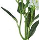 A & B Home White Lilac Spray-2