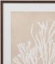 Bassett Mirror Gracilaria Multipartita Beige Framed Print-1
