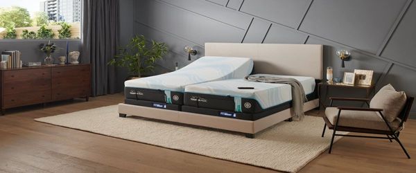 Tempur-Pedic TEMPUR-Ergo ProSmart™ Base Queen Adjustable Base