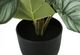 Monarch Specialties Inc. 2-Piece Black 13" Tall Artificial Potted Epipremnum-1