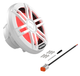 Rockford Fosgate® 8" DVC 4-Ohms Color Optix™ Marine Subwoofer-4