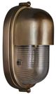 Currey & Company Maritime Brass/Clear Outdoor Wall Sconce-0
