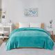 Olliix by Intelligent Design Microlight Plush Aqua Full/Queen Oversized Blanket-2