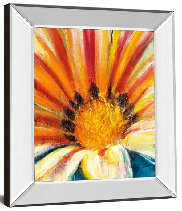 Classy Art Wild Flower by D’Aguiar Mirror Framed Wall Art-0