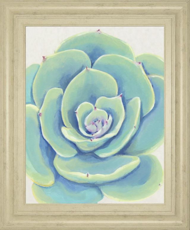 Classy Living Tim OToole Pastel Succulent IV Wall Art-0