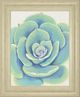 Classy Living Tim OToole Pastel Succulent IV Wall Art-0
