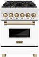 ZLINE Autograph Edition 24" Stainless Steel Pro Style Dual Fuel Range with White Matte Door-0