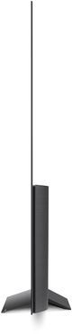 LG B8PUA 55" 4K HDR OLED Smart TV-4
