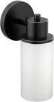 Moen® Iso™ Matte Black One Globe Bath Light-0