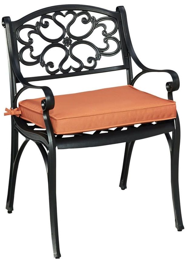homestyles® Sanibel 2-Piece Black Outdoor Chairs with Cushions-1
