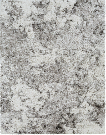 Surya Alta Shag Gray/Off-White 5'x7' Area Rug-1