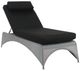Century® Customizable Elements Fabric/Metal Outdoor Chaise-0