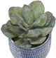 Uttermost® Puebla 3-Piece Blue/White Greenery Pots Set-2