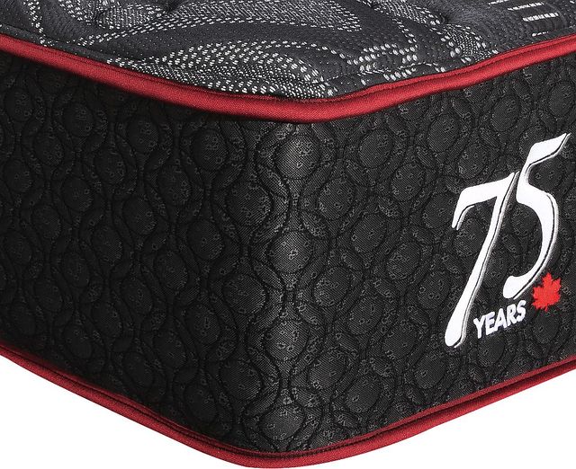 Springwall® True North Chiropractic® 13" Wrapped Coil Medium Plush Tight Top Queen Mattress-1