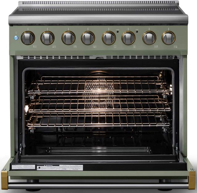 Viking® 5 Series 36" Eucalyptus Pro Style Induction Range with Brushed Brass Trim-1