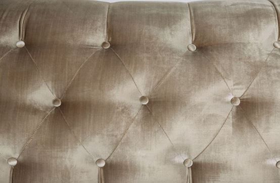 Furniture of America® Elicia Champagne Sofa-2