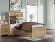 Signature Design by Ashley® Fenderport Tan 2-Drawer Twin Panel Storage Bed-1