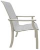 Telescope Casual St. Catherine Abalone/Storm Aluminum/Fabric Outdoor MGP Sling Arm Chair-2