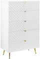 ACME Furniture Gaines White High Gloss Chest-0