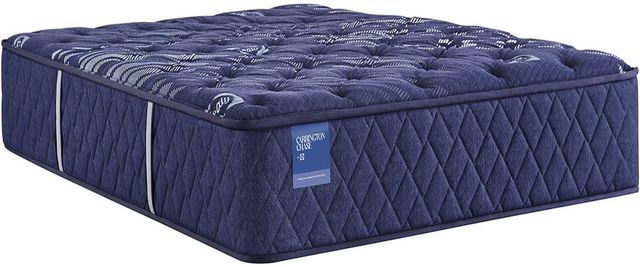 Sealy® Carrington Chase Spring Travelers Rest 14.5" Innerspring Extra Firm Tight Top Twin XL Mattress-0