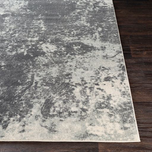 Surya Aberdine Gray 7'x9' Area Rug-3