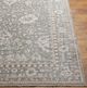 Surya Carlisle Ivory/Light Gray 4'x6' Area Rug-2