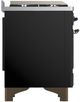 Ilve® Majestic III 40" Glossy Black Pro Style Dual Fuel Natural Gas Range with Triple Glass Door and Burnished Trim-3